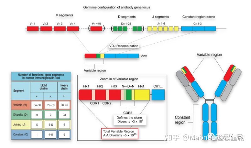 检验检疫技术中心改革：未来路在何方？